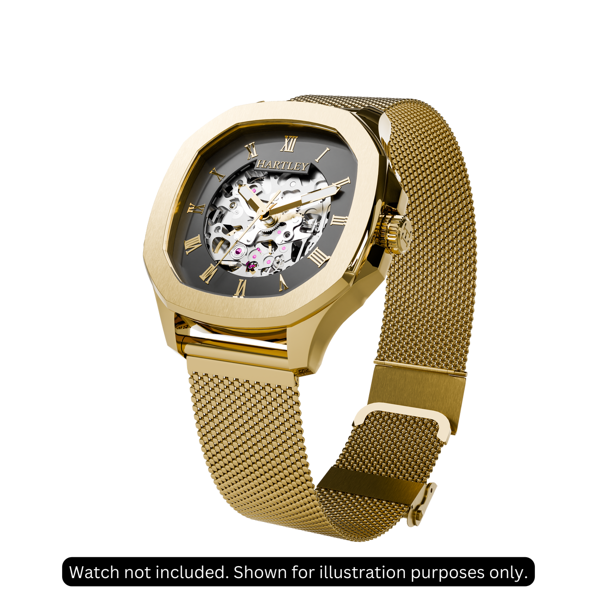 Gold Mesh Strap Example Image 1